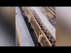 Φούρνος στεγνής επεξεργασίας νάτριας πυριτικού / μηχανή παραγωγής στερεού νάτριας πυριτικού